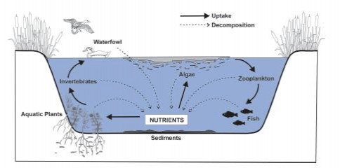 DugoutLifeCycle